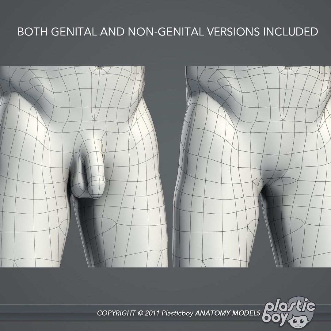 essentials male female anatomy 3d model https://p.turbosquid.com/ts-thumb/8t/G7FluL/f59HYH2i/male_non_genital/jpg/1337096101/1920x1080/fit_q87/05a7939ae71a47ec5a83b65de596527ccaa27abb/male_non_genital.jpg