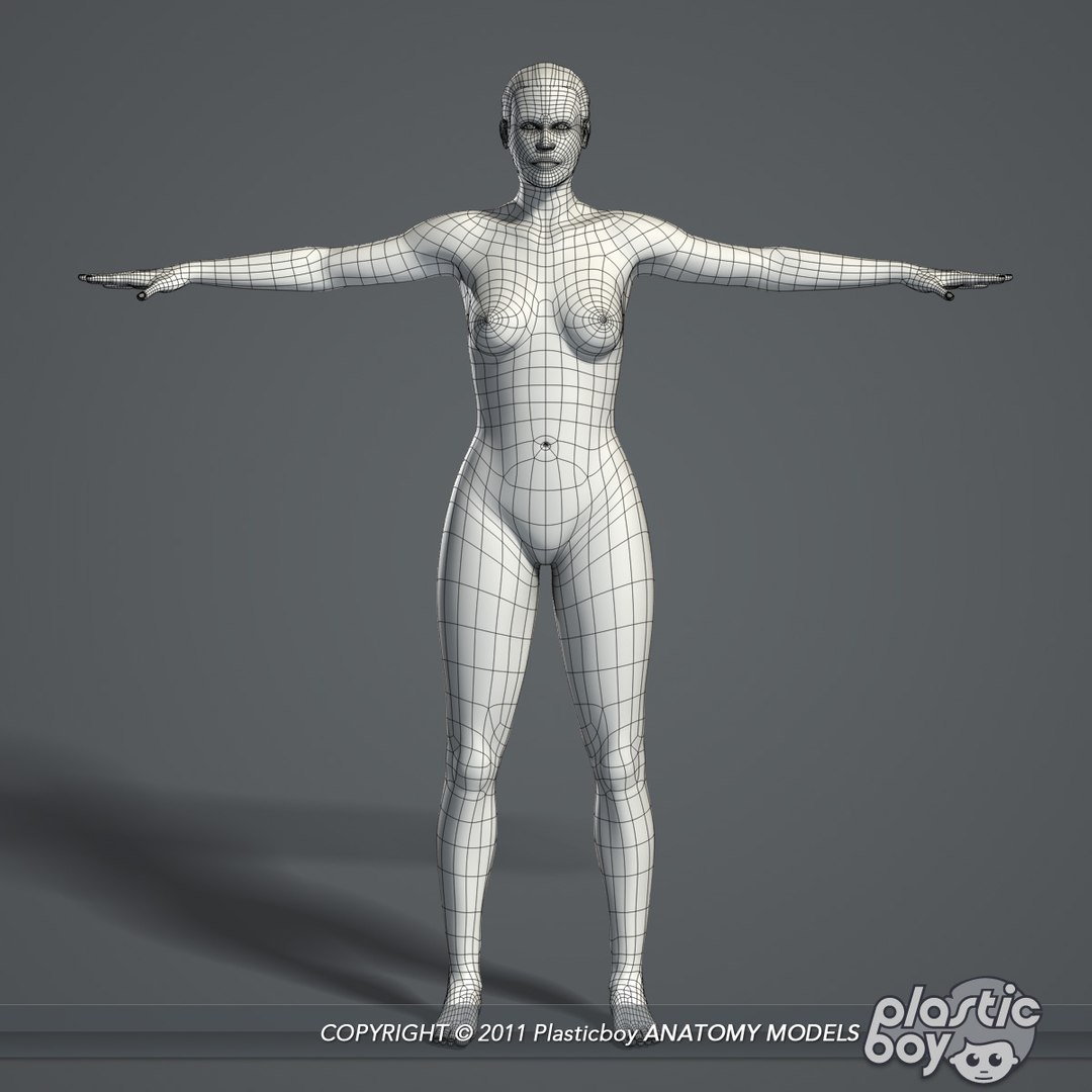 essentials male female anatomy 3d model https://p.turbosquid.com/ts-thumb/8t/G7FluL/o9DU1Z7r/female_anatomy_complete_wf_01/jpg/1337091034/1920x1080/fit_q87/a852391db55a9f5b244d623bf46445db564f0670/female_anatomy_complete_wf_01.jpg