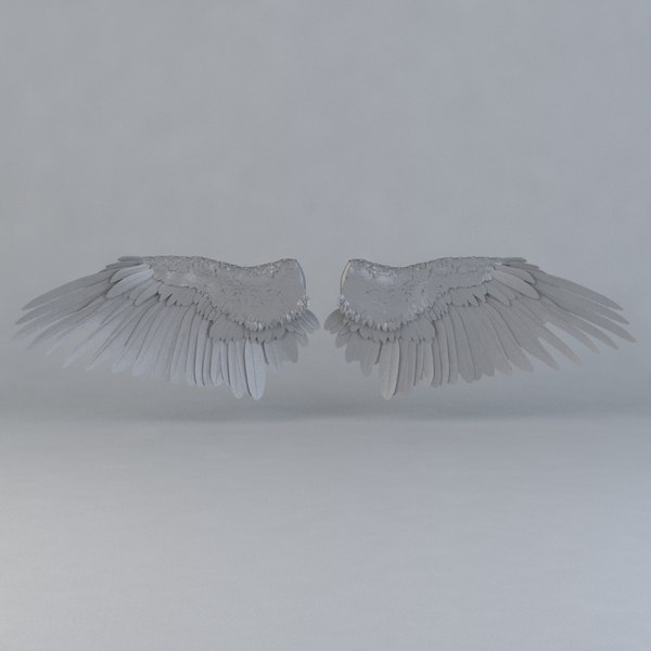 bird wings 3d max