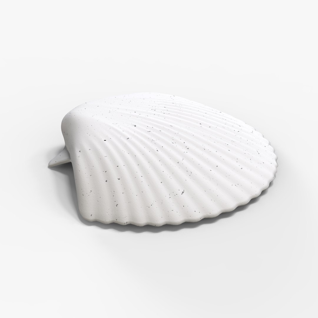 3d Shell