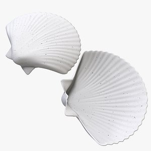 3d shell