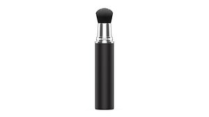 Makeup brush
