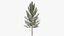 Tree 1