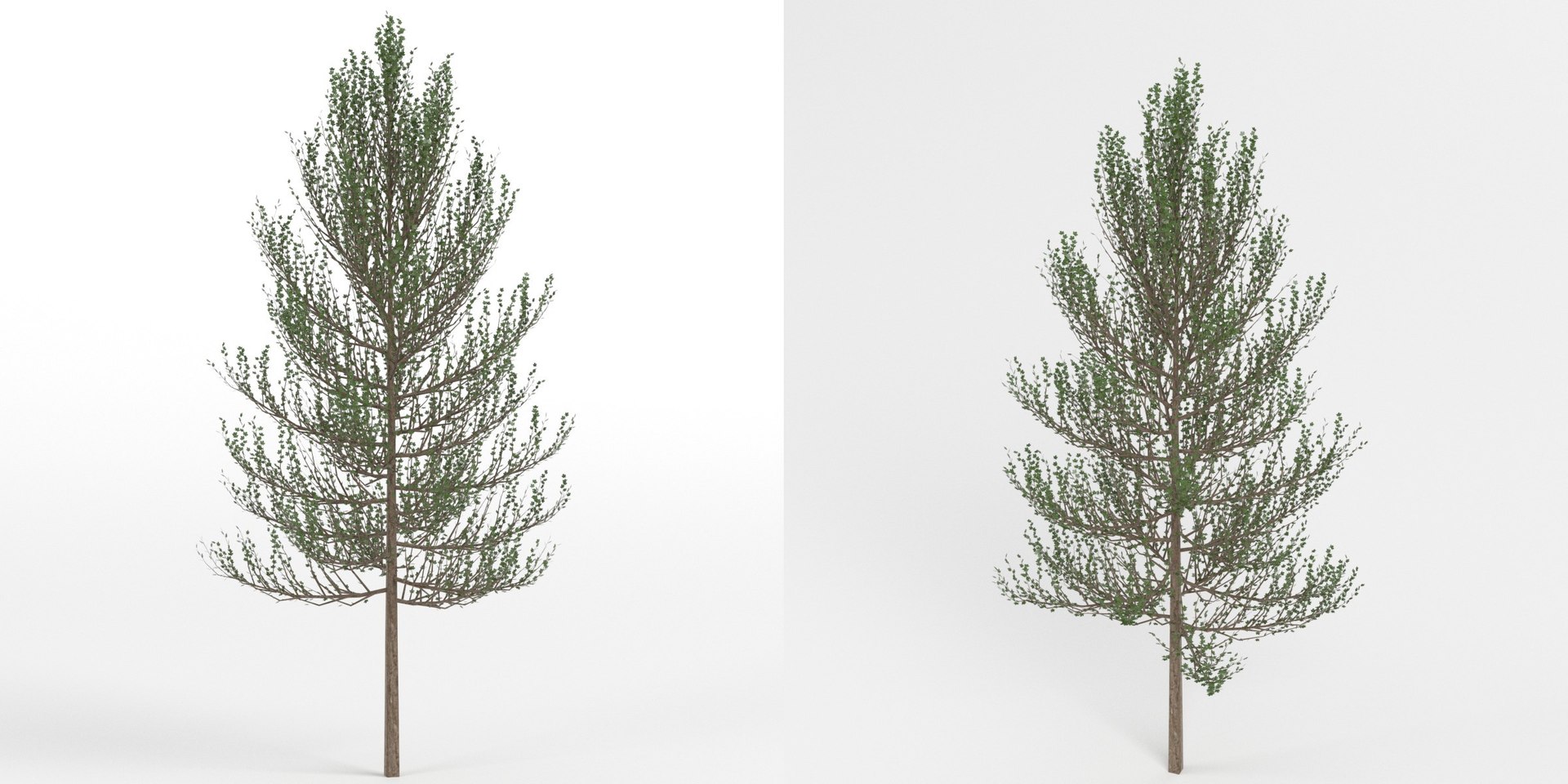Tree 1 3D model https://p.turbosquid.com/ts-thumb/8t/XkNg1i/No/tree100/jpg/1618574188/1920x1080/fit_q87/0670cae0904d5bdf5301f45c75189d8a7daccaef/tree100.jpg