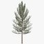Tree 1