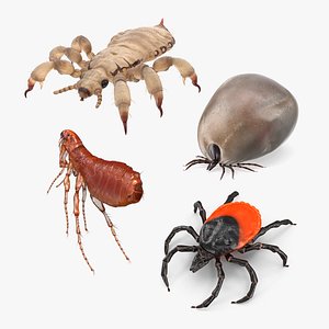 Parasites Collection