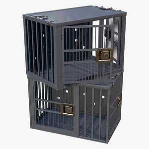 3D Metal Cage Box M1