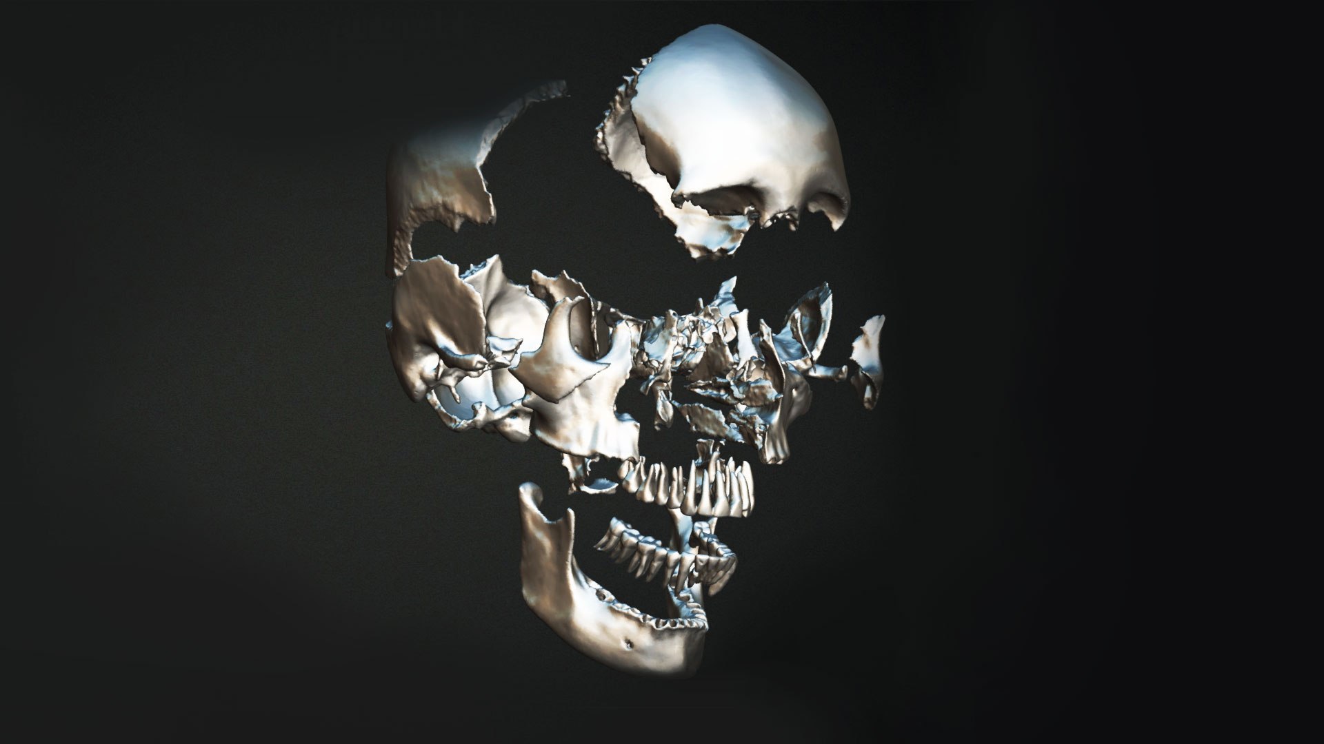 3D Human Skull Animation https://p.turbosquid.com/ts-thumb/8t/hTj7Wm/7b/preview07/jpg/1643088648/1920x1080/fit_q87/9dc8bfeb13a5fde6db3f25bb0eb70e6154191be0/preview07.jpg