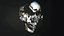 Human Skull Animation