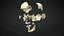 Human Skull Animation