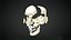 Human Skull Animation