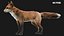 fox rigged 3D model