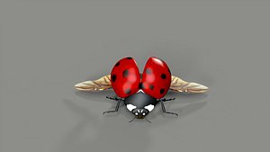 Ladybug Coccinella 3D