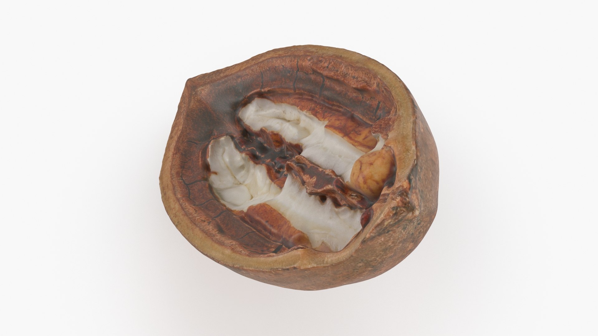3D Pecan Nut Shell Open 04 - TurboSquid 2028307