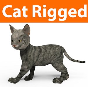 3D cute cat rigged model