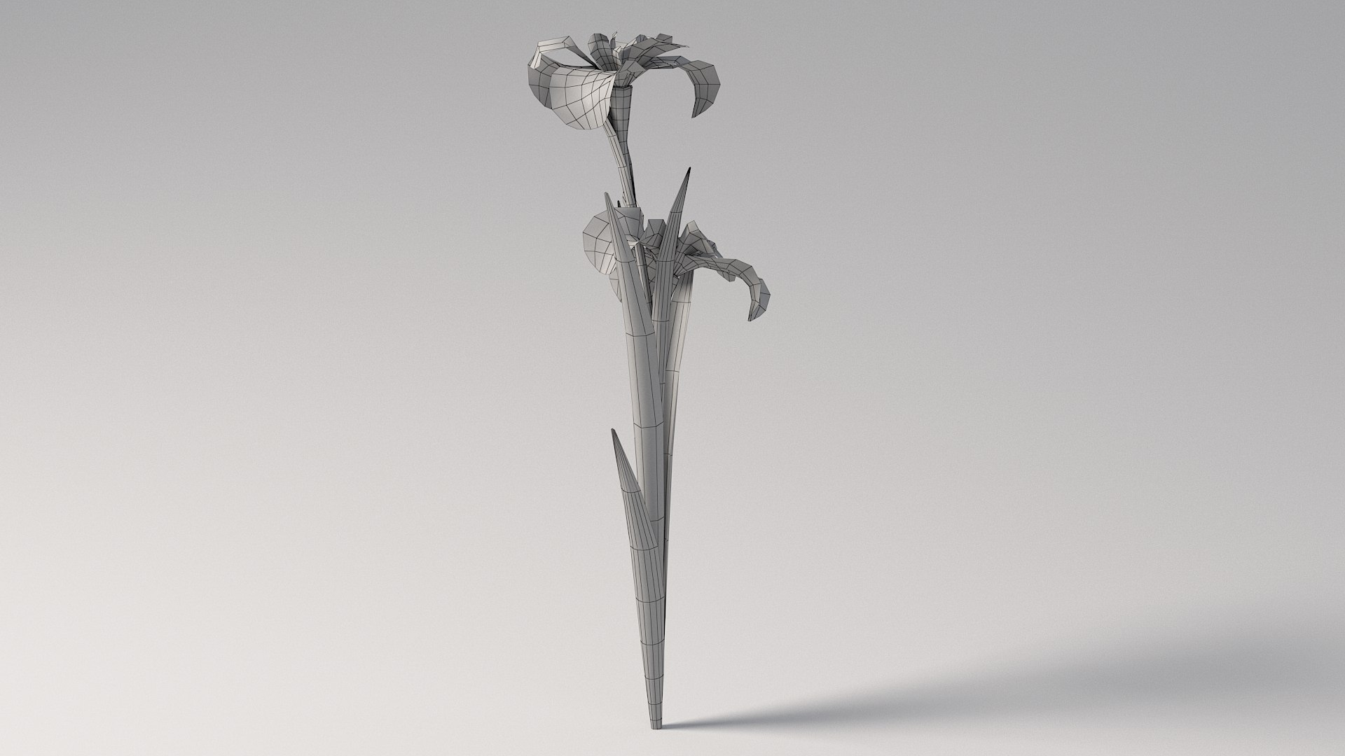 3D realistic irises flower https://p.turbosquid.com/ts-thumb/8u/OY7q3G/zh/flower_irises_10/jpg/1773401491/1920x1080/fit_q87/b63d5b5103676520d49392cbf0216a1cd4f98a39/flower_irises_10.jpg