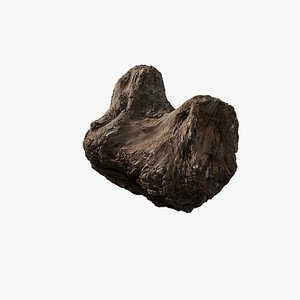 Anydrafts Riverway Stump 01 model