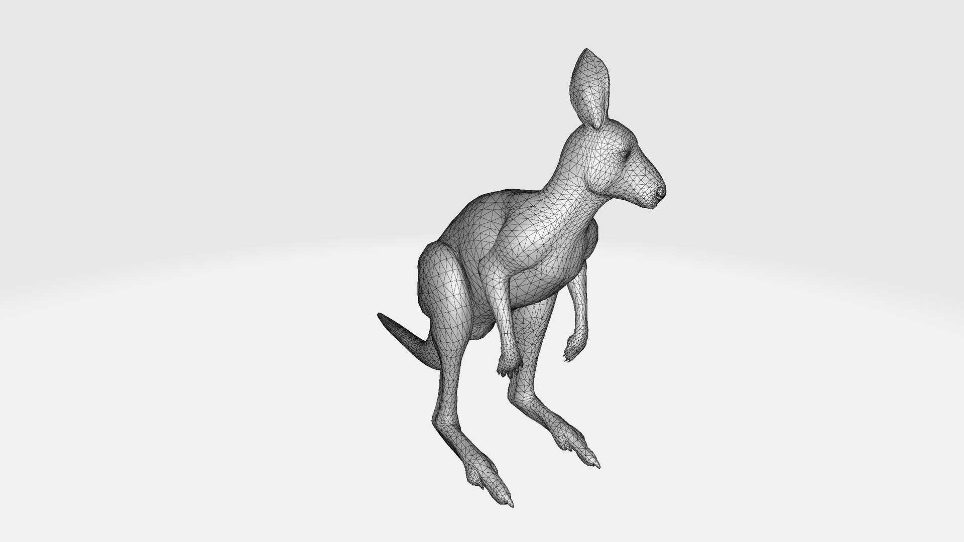 3D Kangaroo https://p.turbosquid.com/ts-thumb/8u/eTvp57/lz/kangaroo001/png/1730736490/1920x1080/fit_q87/116e9af385092eb2716ed323c47f13c7f611f16a/kangaroo001.jpg