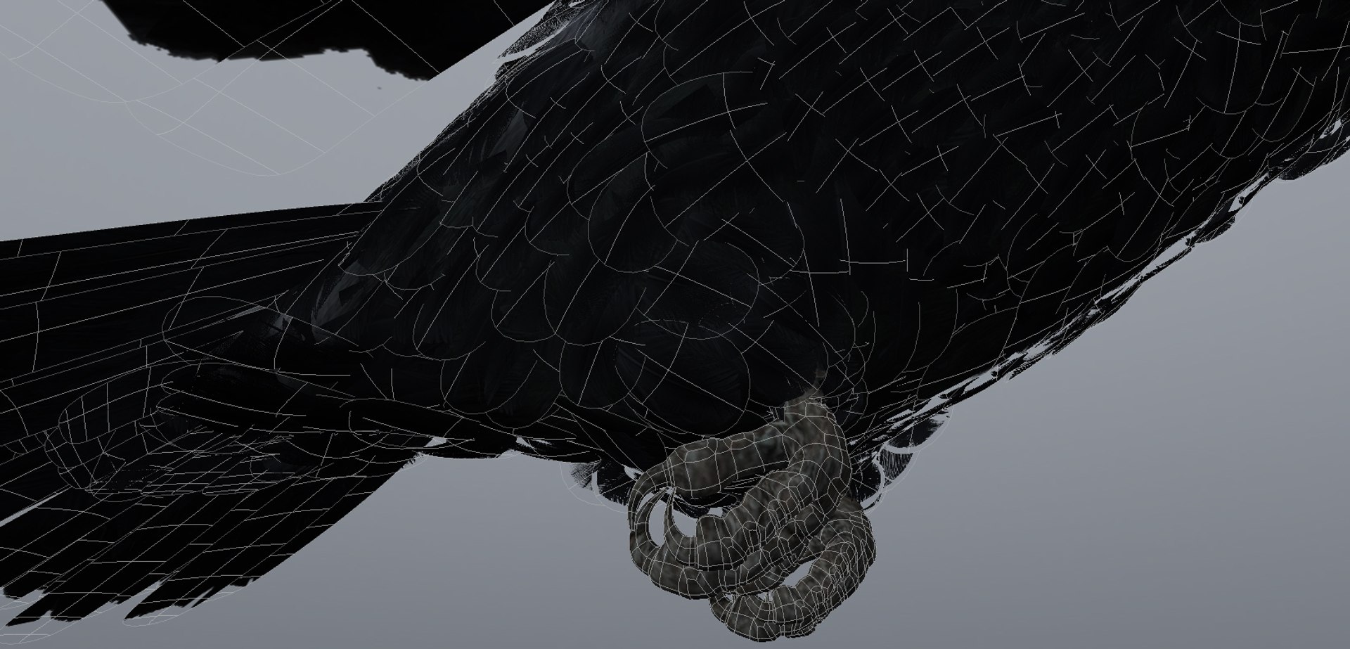 Crow Obj