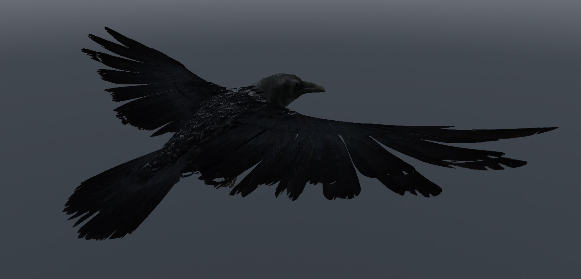 Crow Obj