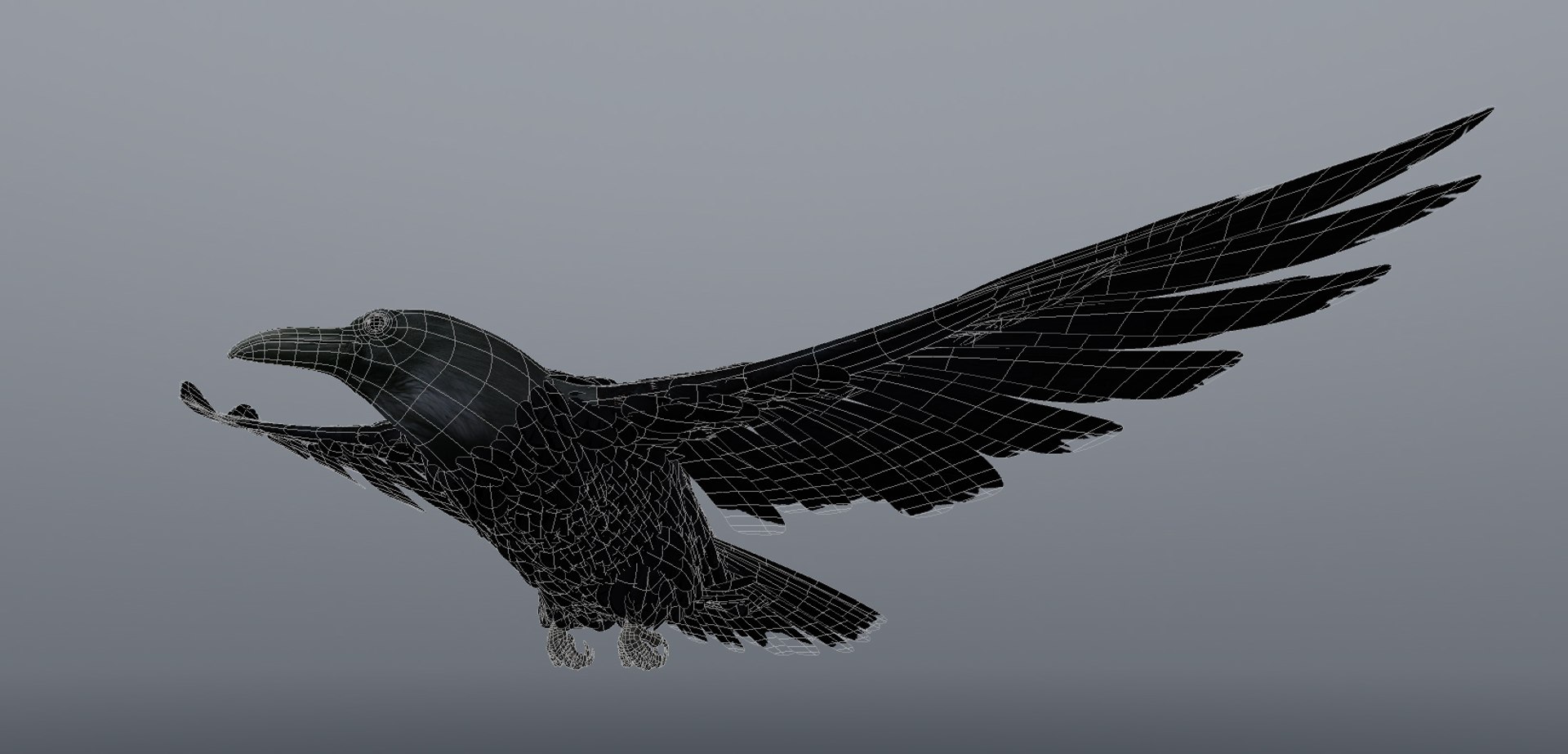 Crow Obj