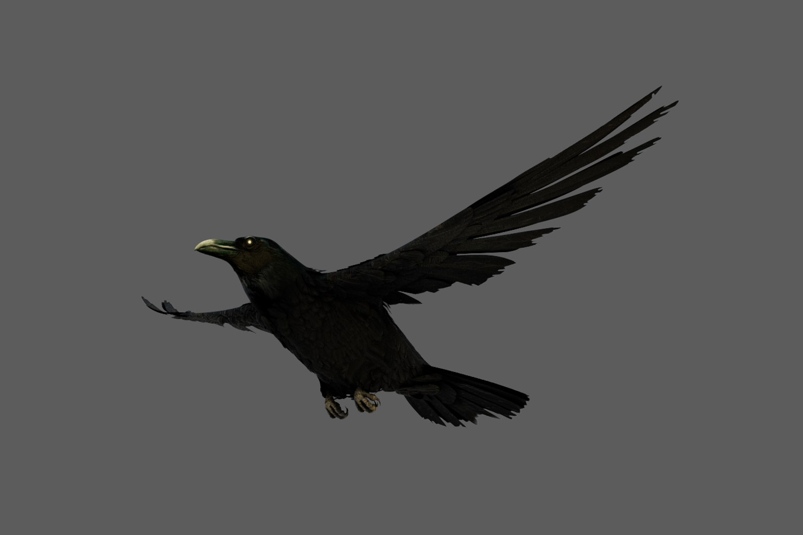 Crow Obj