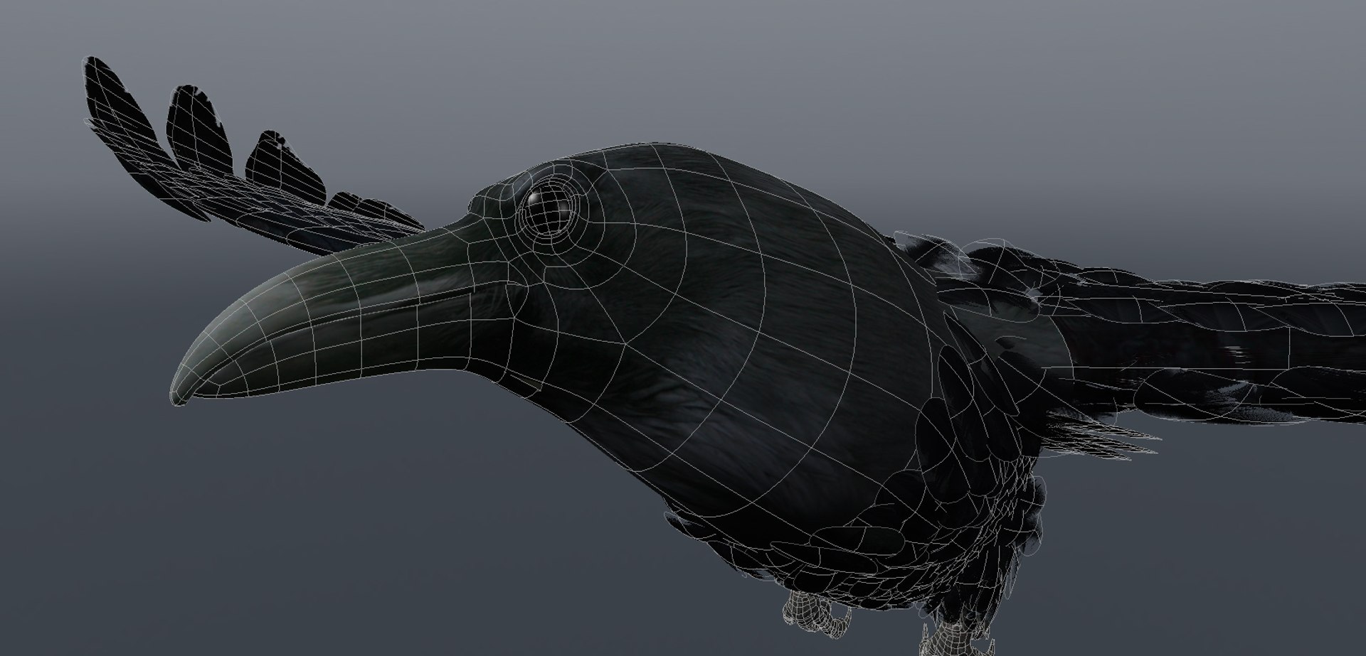 Crow Obj