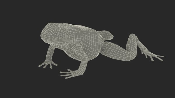 modelo 3d Pose de rastreo de rana flecha venenosa dorada - TurboSquid ...