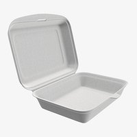 Take-out lunch polystyrene box 03