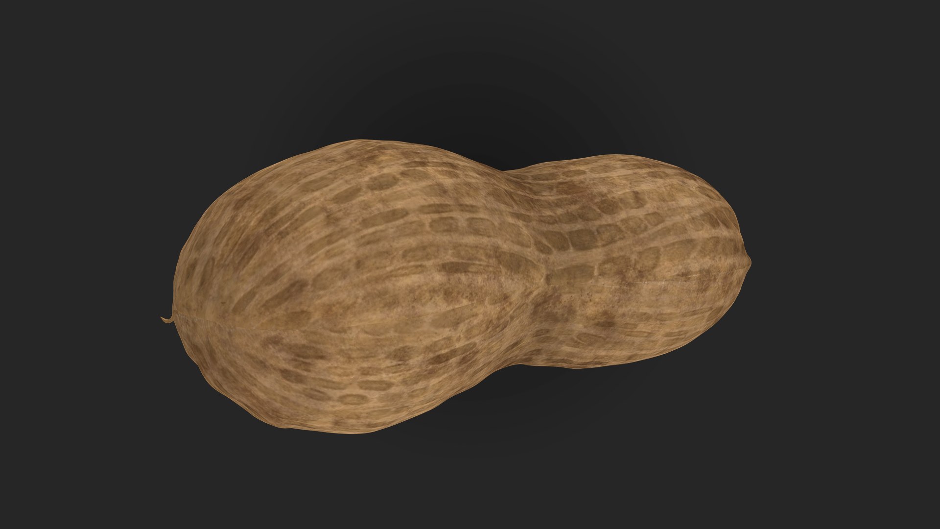 3D Peanut https://p.turbosquid.com/ts-thumb/8u/vGnaIY/3n/1920x1080_diffuse/jpg/1718540590/1920x1080/fit_q87/e782826e30dea1a40f6fd1441ed9a84a36ce329a/1920x1080_diffuse.jpg
