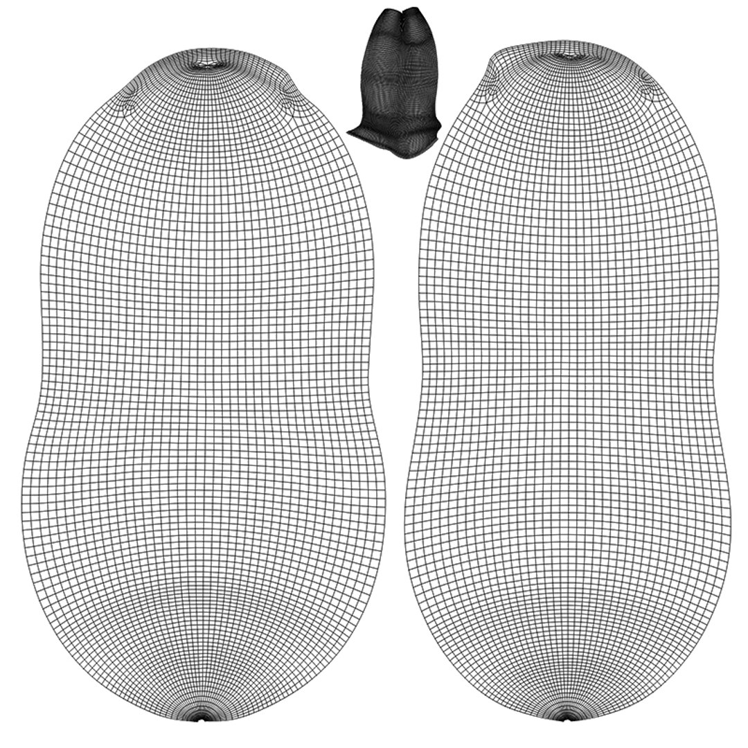 3D Peanut https://p.turbosquid.com/ts-thumb/8u/vGnaIY/CG/800x800/jpg/1718540891/1920x1080/fit_q87/80a72f09c9edc5153f0a922bb46411c1f52ad0c9/800x800.jpg