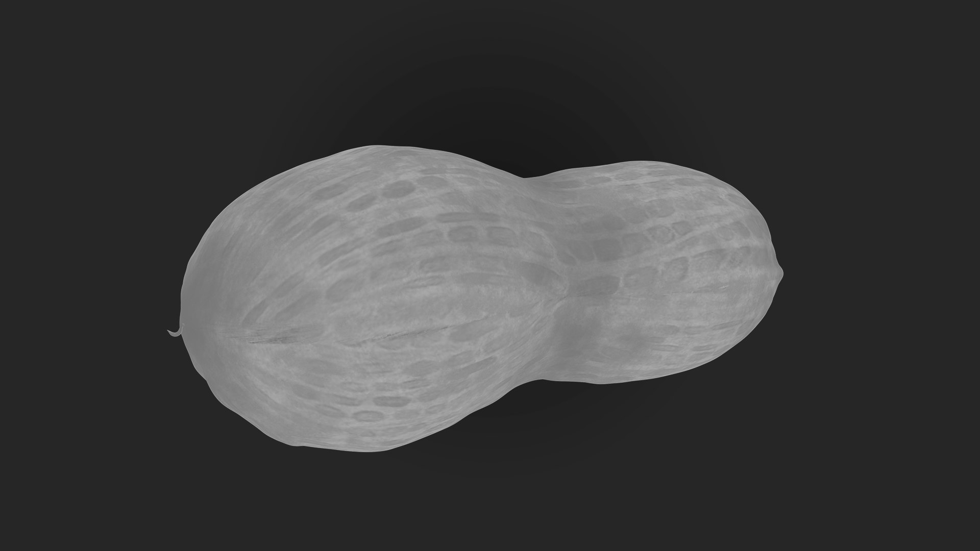 3D Peanut https://p.turbosquid.com/ts-thumb/8u/vGnaIY/P4/1920x1080_specular/jpg/1718540597/1920x1080/fit_q87/ce95fbeb5e035a93d012ede5da127de8855eef28/1920x1080_specular.jpg