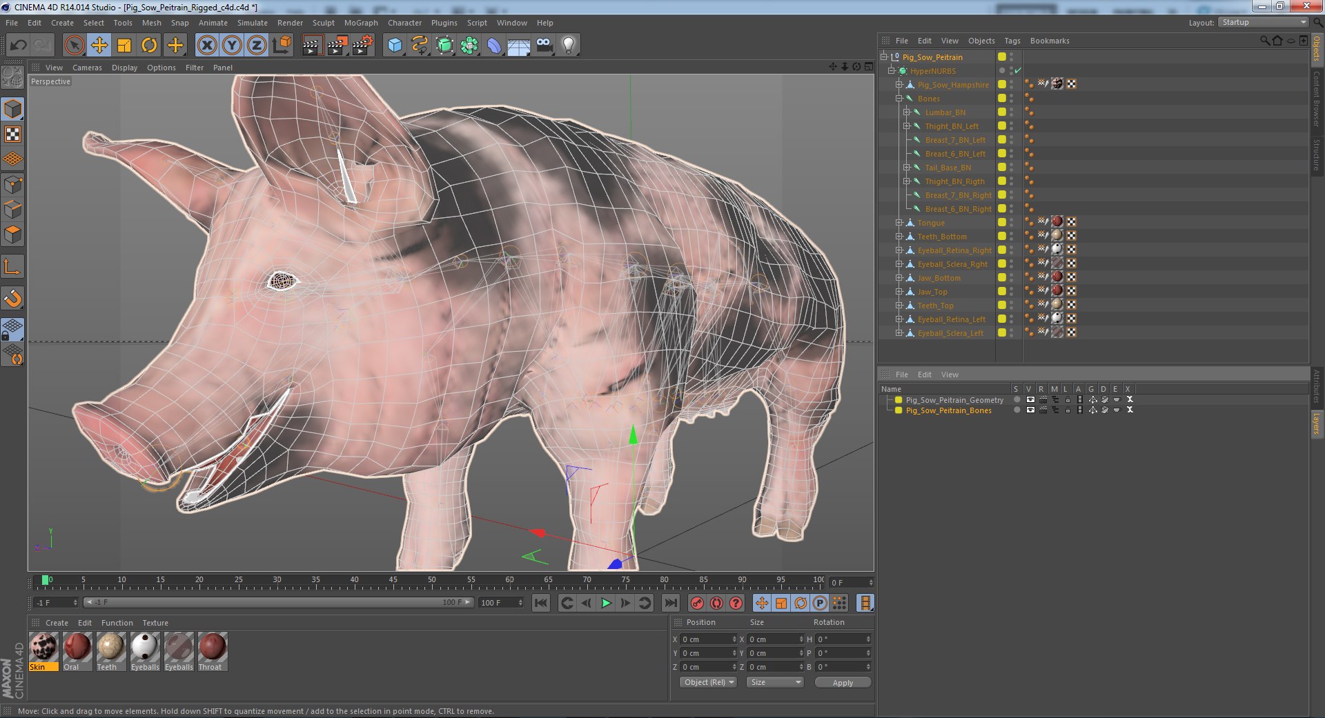 3D Model Pig Sow Peitrain Rigged - TurboSquid 1377695