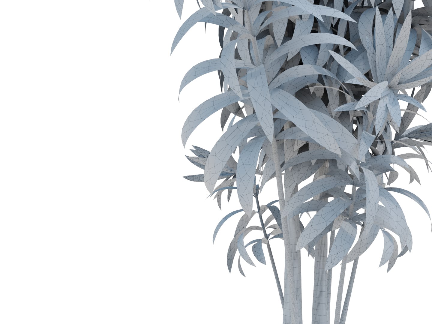 3D dracaena variegata model https://p.turbosquid.com/ts-thumb/8v/2VQvLz/ep/dracaenavariegatarender04wire/jpg/1700568851/1920x1080/fit_q87/a80e5e3ce7c17f96d640f4111c36290ec0ef1b7c/dracaenavariegatarender04wire.jpg