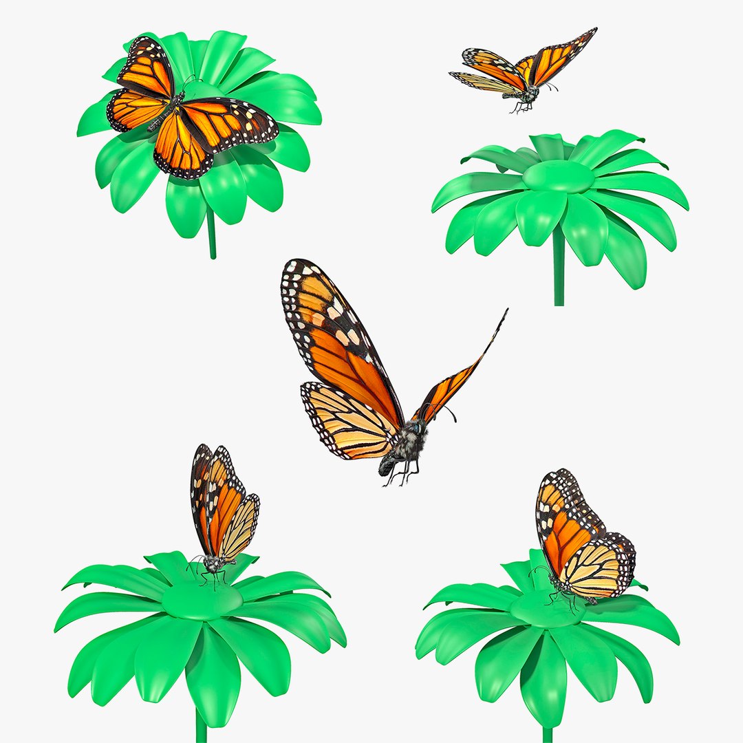 Animated Monarch Butterfly Collection 3D model preview