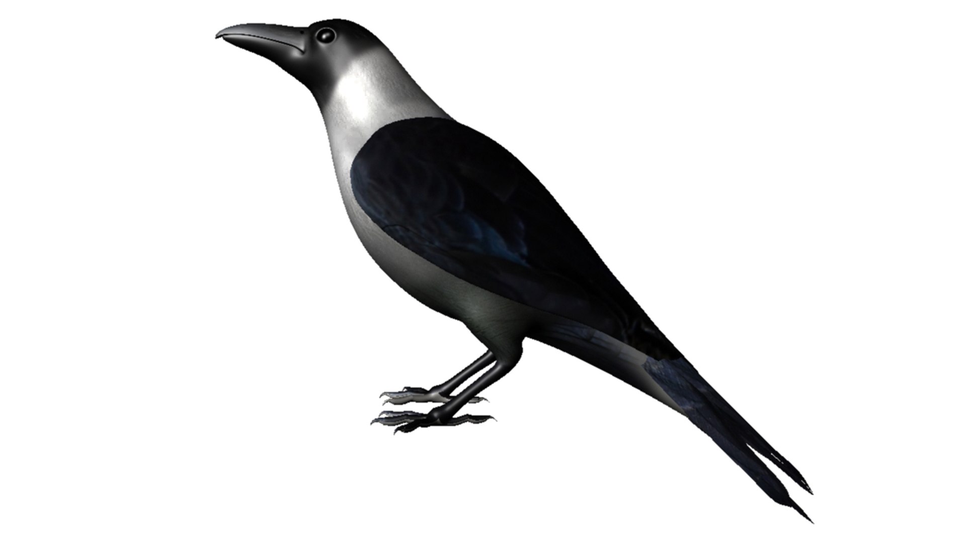 3d House Crow Model