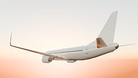 High Quality Boeing 737-800