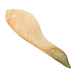 3D Dry maple seed v2