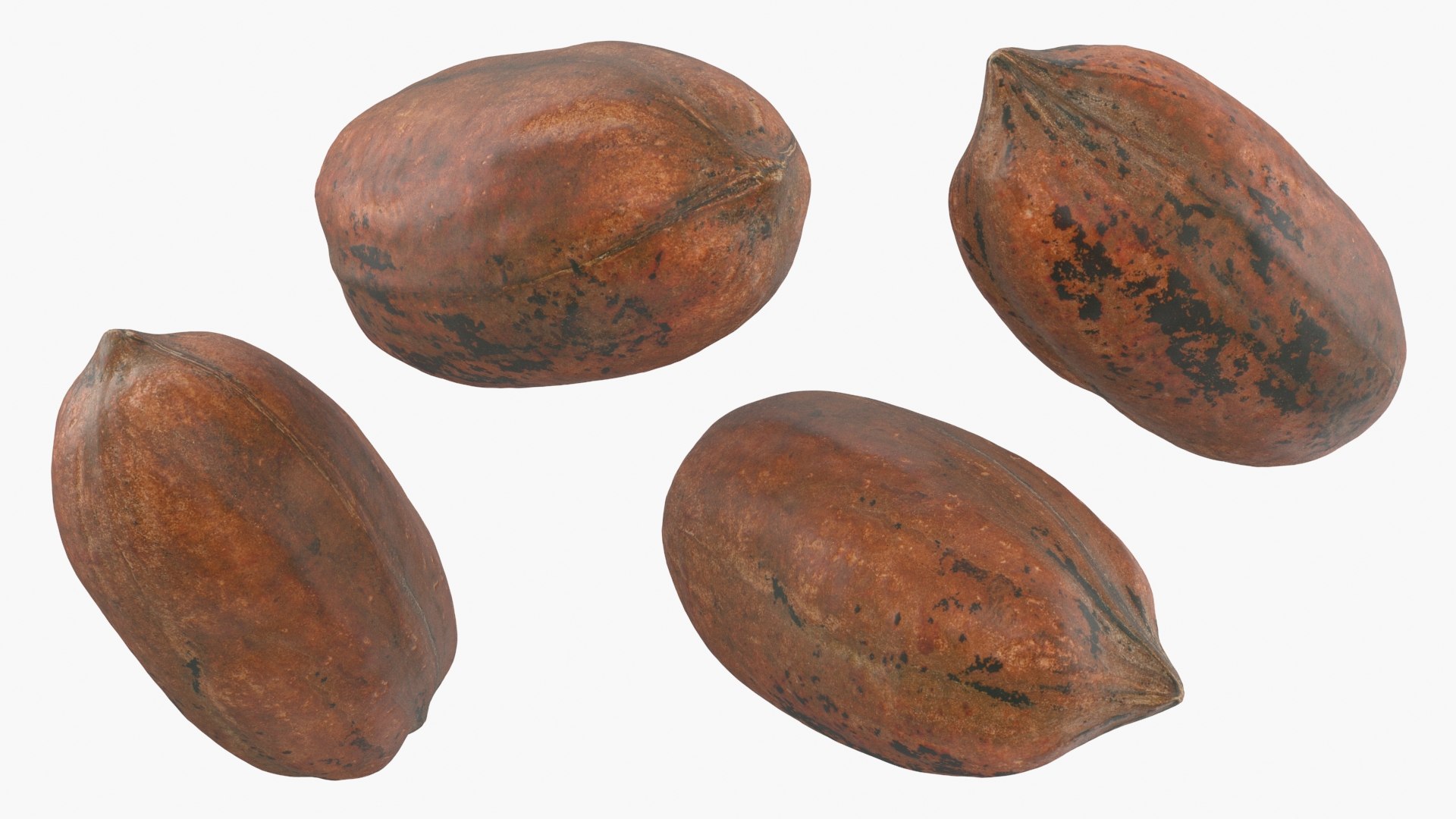 Pecan Shell Collection 3D https://p.turbosquid.com/ts-thumb/8v/jCwGge/EY/pecan_shell_3_a0002/jpg/1674392858/1920x1080/fit_q87/90f99c7e3dbc7bbe5d1e125ca0989df70a487d5e/pecan_shell_3_a0002.jpg