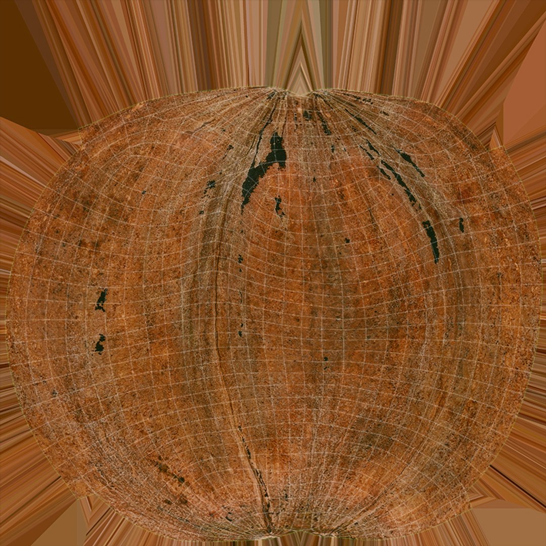 Pecan Shell Collection 3D https://p.turbosquid.com/ts-thumb/8v/jCwGge/Lh/pecan_shell_1_d0004/jpg/1674391775/1920x1080/fit_q87/b01bba3aea4d9c808142f39331eeedbd26df12f4/pecan_shell_1_d0004.jpg