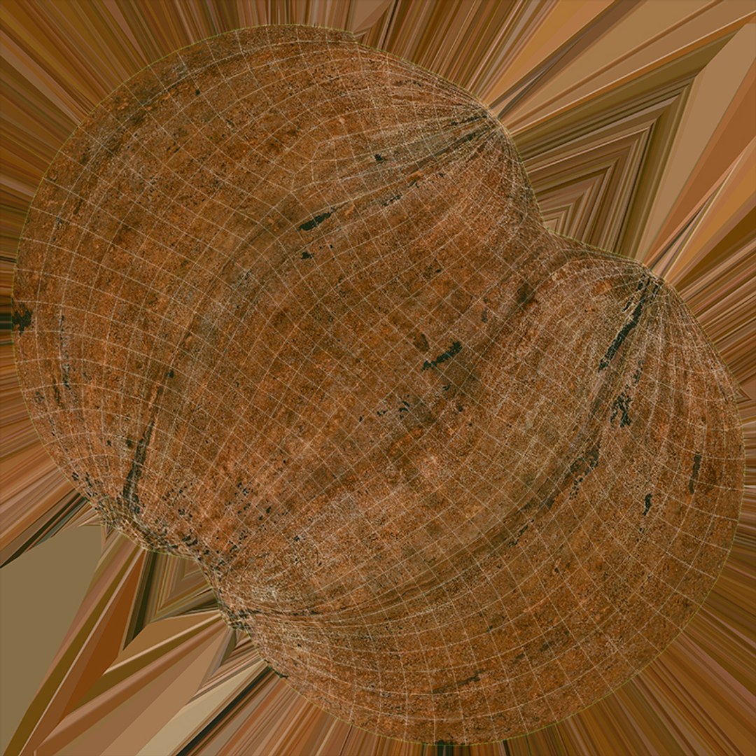Pecan Shell Collection 3D https://p.turbosquid.com/ts-thumb/8v/jCwGge/XA/pecan_shell_5_d0004/jpg/1675617023/1920x1080/fit_q87/d515ca444e868944ee92899e40daa2646a61b834/pecan_shell_5_d0004.jpg