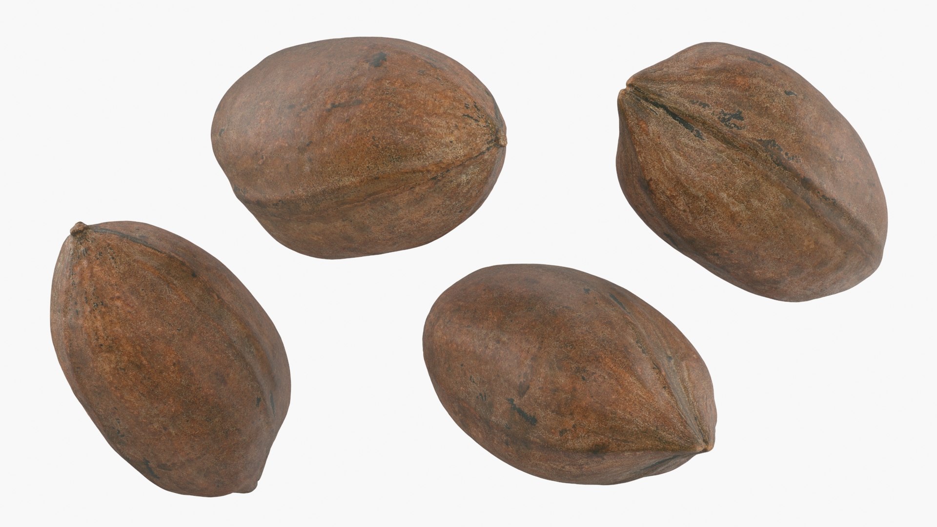 Pecan Shell Collection 3D https://p.turbosquid.com/ts-thumb/8v/jCwGge/gG/pecan_shell_5_a0002/jpg/1675617006/1920x1080/fit_q87/31b52e8d5293ea39ac80f3c07b65ae5aae8d1889/pecan_shell_5_a0002.jpg