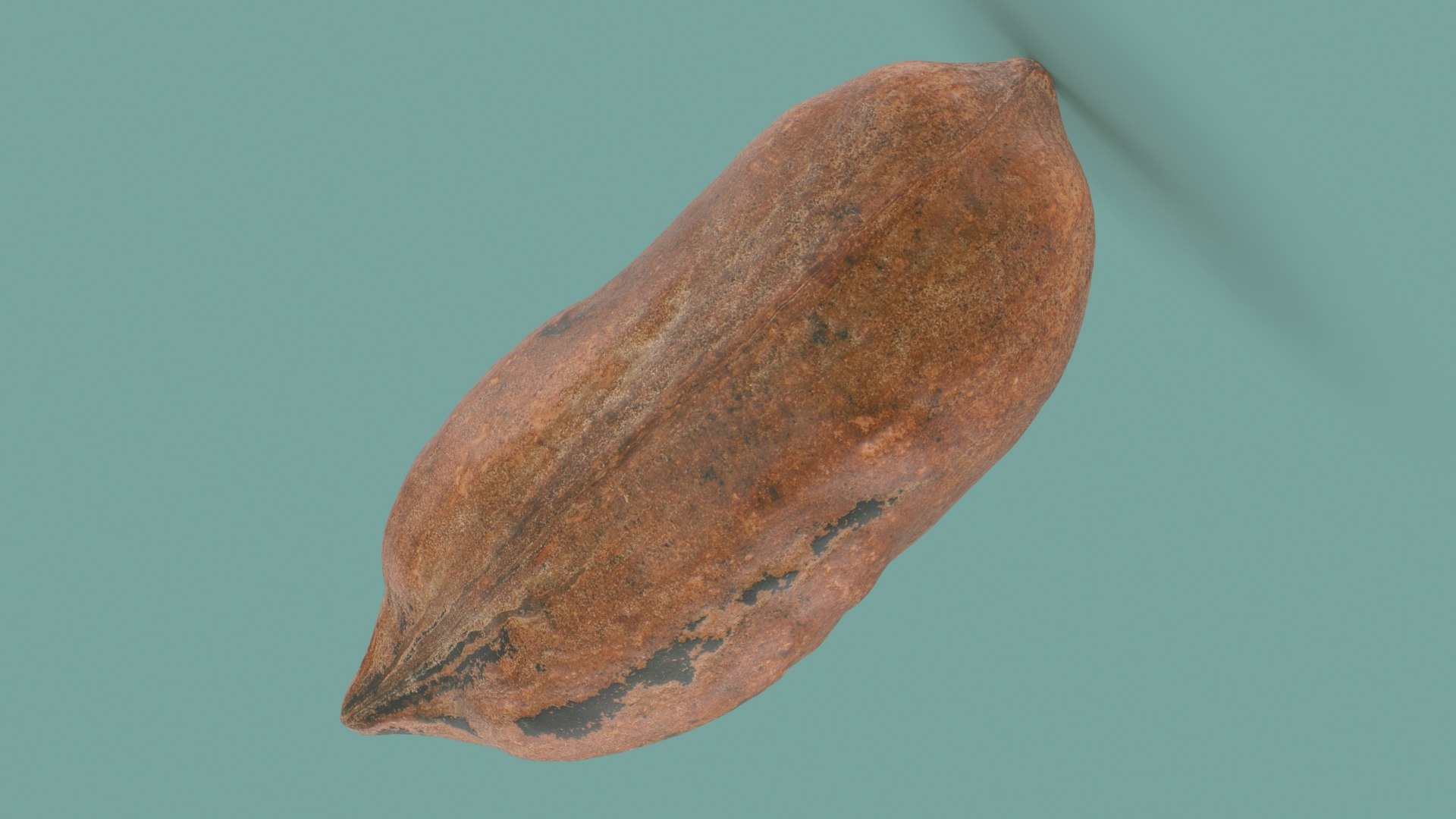 Pecan Shell Collection 3D https://p.turbosquid.com/ts-thumb/8v/jCwGge/nM/pecan_shell_2_a0001/jpg/1674392289/1920x1080/fit_q87/be057e196bf53a2ae143144873cb5929ea05a327/pecan_shell_2_a0001.jpg