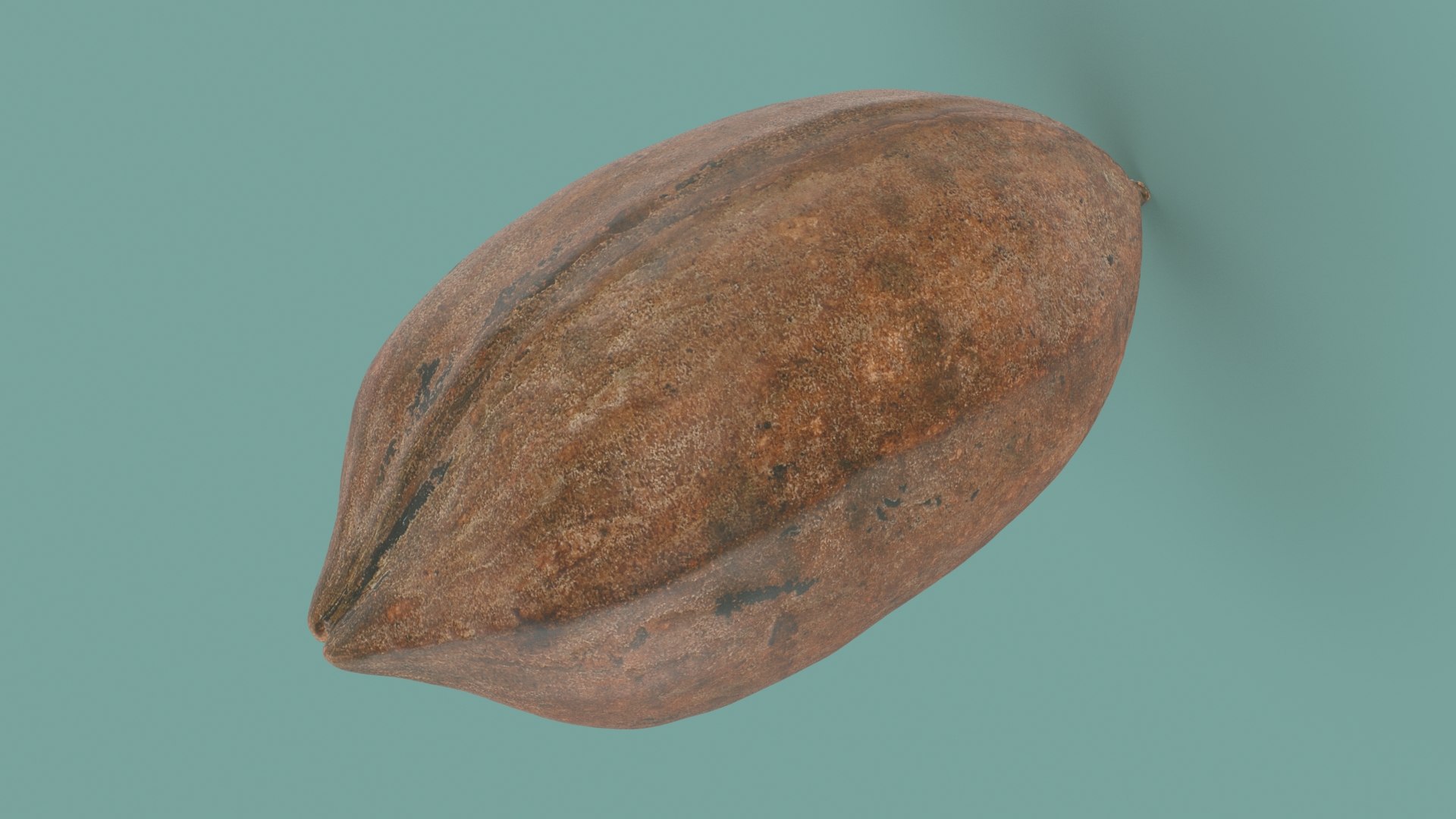 Pecan Shell Collection 3D https://p.turbosquid.com/ts-thumb/8v/jCwGge/nt/pecan_shell_5_a0001/jpg/1675617008/1920x1080/fit_q87/ea5101e3ceba21cbc628fe0f7a8db5e6c63a1d9e/pecan_shell_5_a0001.jpg