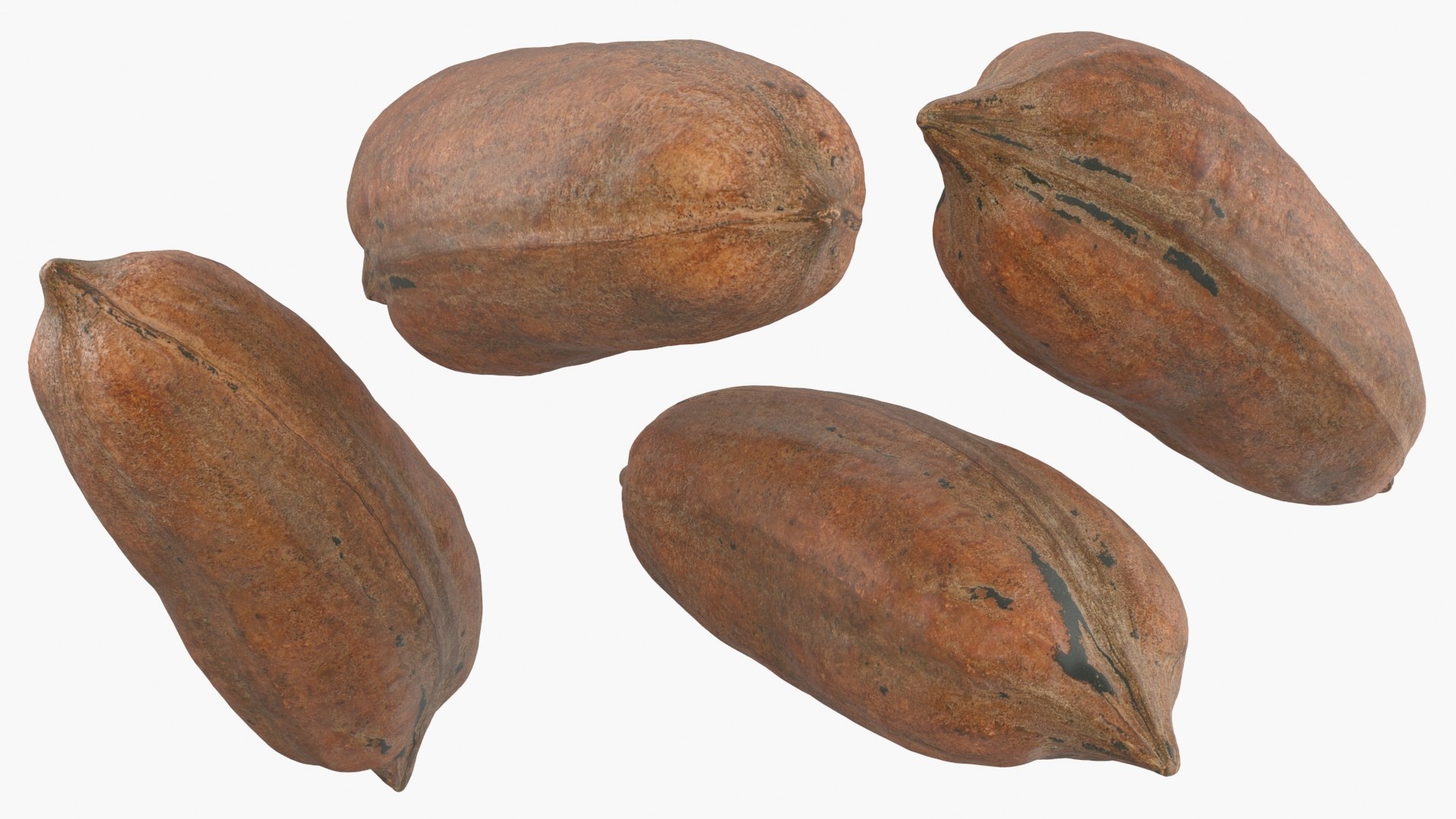 Pecan Shell Collection 3D https://p.turbosquid.com/ts-thumb/8v/jCwGge/ul/pecan_shell_1_a0002/jpg/1674391764/1920x1080/fit_q87/c9f9ddb27cf0f291673d0cc0233528c67615f9c0/pecan_shell_1_a0002.jpg
