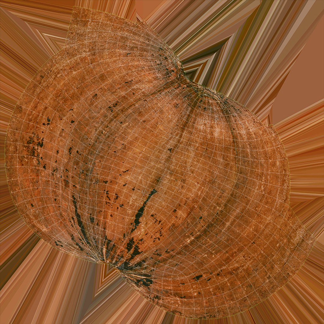 Pecan Shell Collection 3D https://p.turbosquid.com/ts-thumb/8v/jCwGge/z3/pecan_shell_4_d0004/jpg/1675615909/1920x1080/fit_q87/cac8510cc4958d9adfe06c9df67bf47607f1d219/pecan_shell_4_d0004.jpg