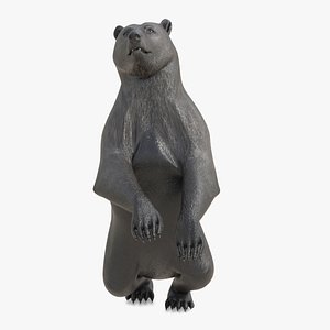 Realistic Grizzly Dark Brown Rigged for Maya 3D model