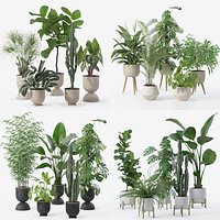 20 Photorealistic Flowers for Interiors - set 118- 121- 125- 128 3D Model Collection