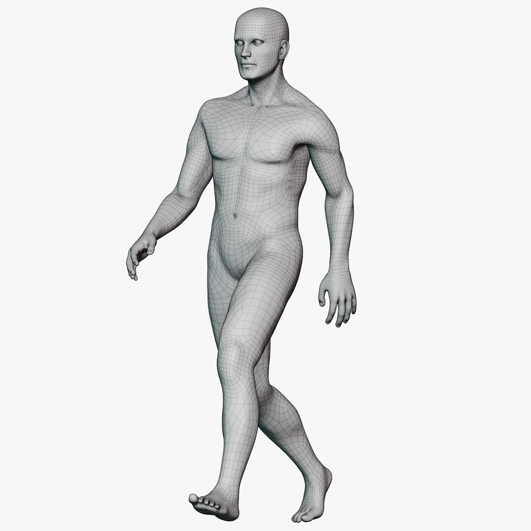 3D Studio Mannequin Pose Library 9 Poses https://p.turbosquid.com/ts-thumb/8w/2iChTX/70/wireallmale0204/png/1771520495/1920x1080/fit_q87/45318205b72dfc30f811780436559e7cdbced75f/wireallmale0204.jpg