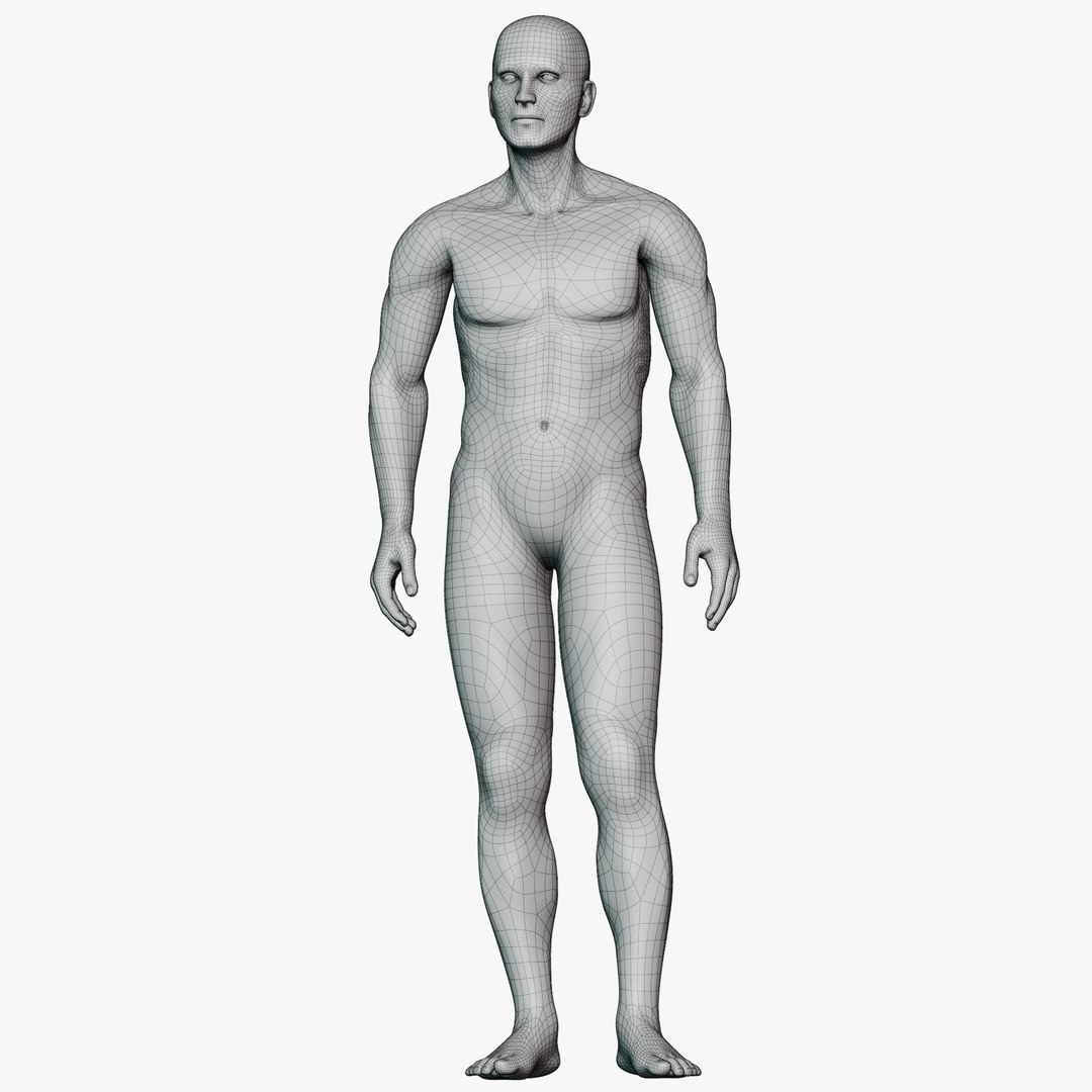3D Studio Mannequin Pose Library 9 Poses https://p.turbosquid.com/ts-thumb/8w/2iChTX/f1/wireallmale0301/png/1771520510/1920x1080/fit_q87/0cd6db1a966bc5f4d8527413300c8db49705e3c6/wireallmale0301.jpg